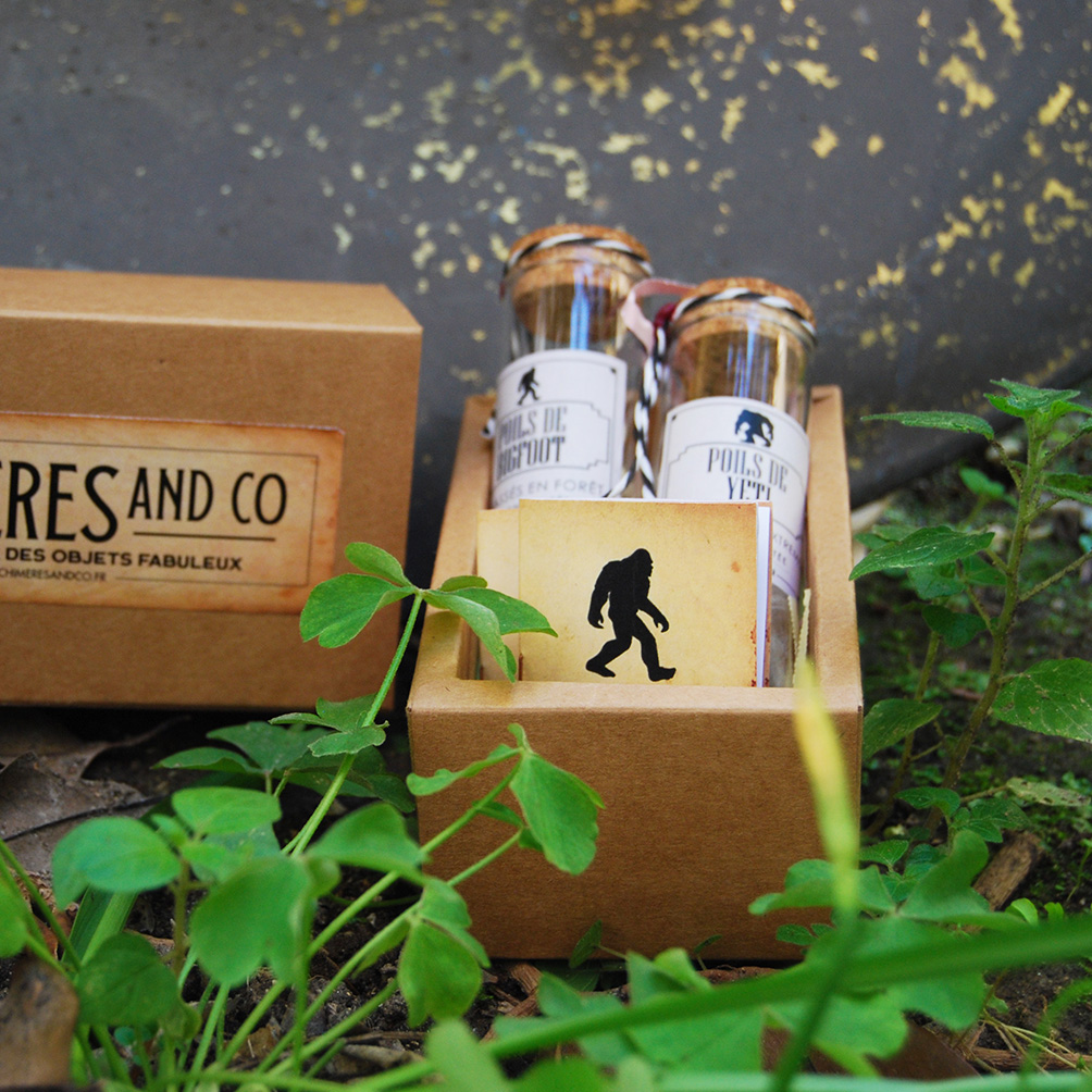 Coffret 2 fioles – Image 5