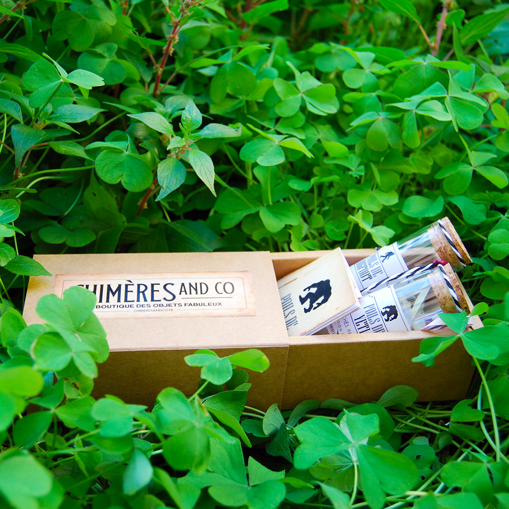 Coffret 2 fioles – Image 2