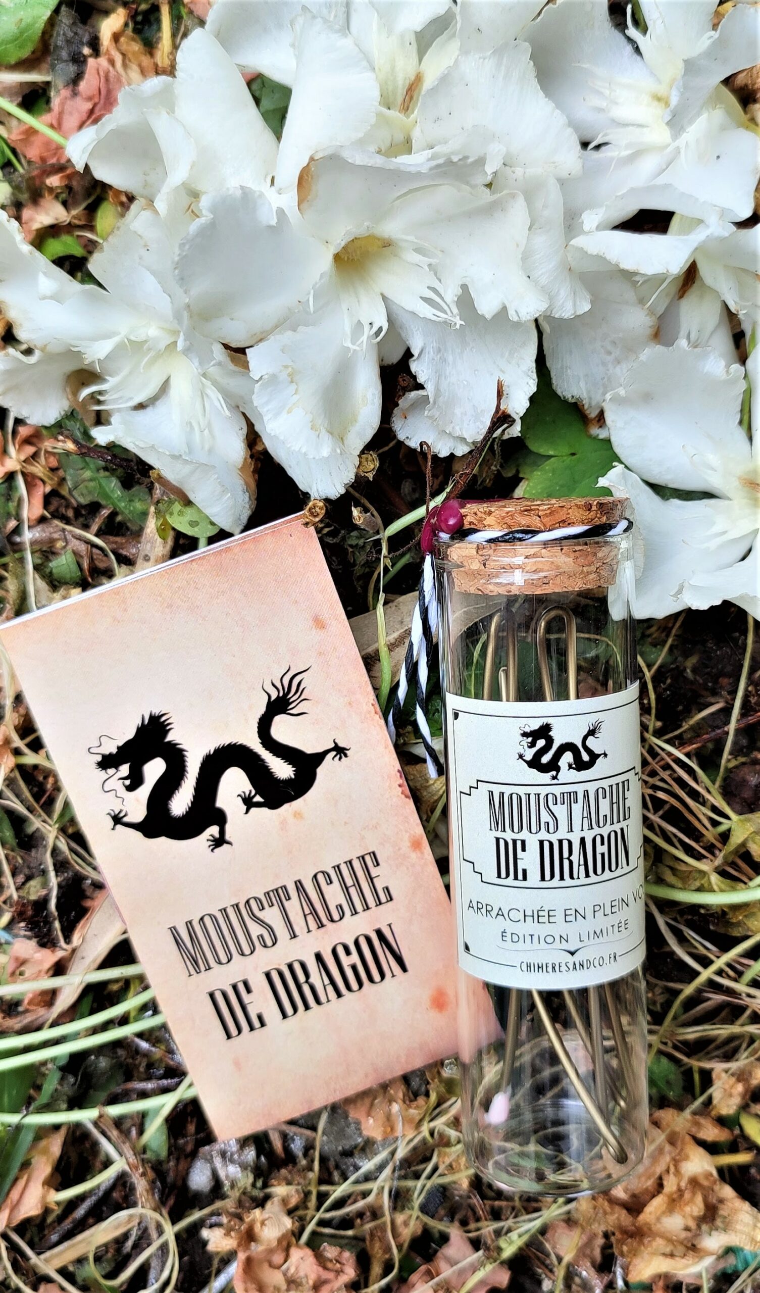 Moustache de dragon – Image 3