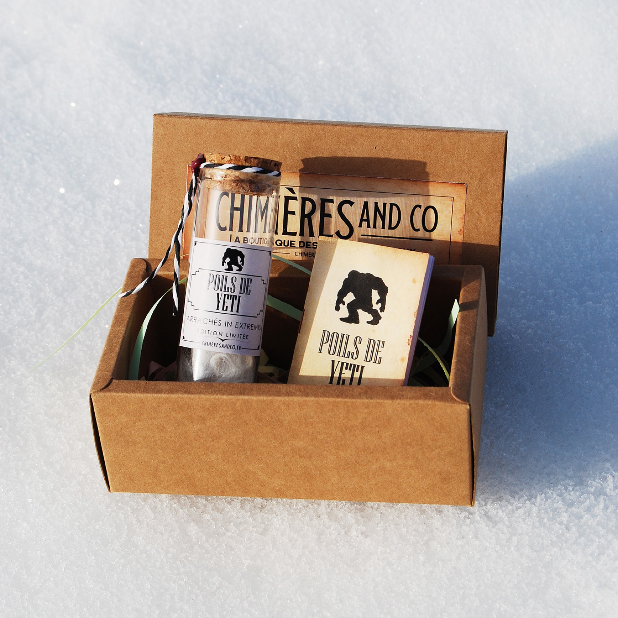 Poils de yéti – Image 2